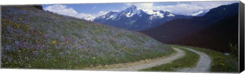 Framed Road Through Hillside, Zillertaler, Austria Print