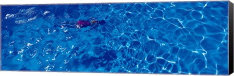 Framed Woman in swimming pool Print