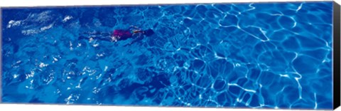 Framed Woman in swimming pool Print