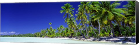 Framed Beach With Palm Trees, Bora Bora, Tahiti Print