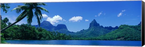 Framed Lush Foliage And Rock Formations, Moorea Island, Tahiti Print