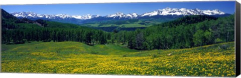 Framed San Miguel Mountains In Spring, Colorado, USA Print