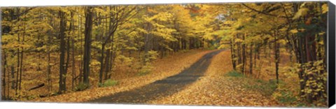 Framed Autumn Road, Emery Park, New York State, USA Print