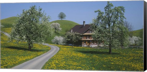 Framed road through Zug, Switzerland Print