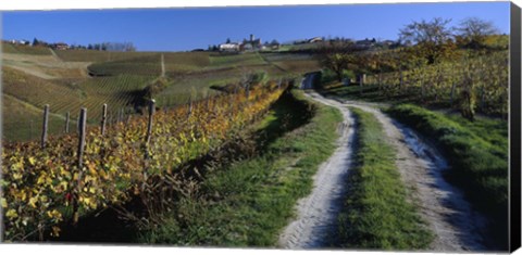 Framed Italy, Piemont, road Print