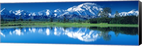 Framed Mt McKinley and Wonder Lake Denali National Park AK Print