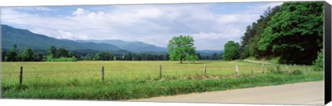 Framed Road Along A Grass Field, Cades Cove, Great Smoky Mountains National Park, Tennessee, USA Print