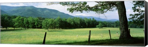 Framed Meadow Surrounded By Barbed Wire Fence, Cades Cove, Great Smoky Mountains National Park, Tennessee, USA Print