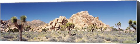 Framed Rock Formation In A Arid Landscape, Joshua Tree National Monument, California, USA Print