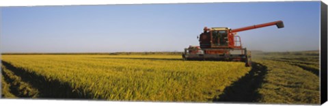 Framed Combine in a rice field, Glenn County, California, USA Print