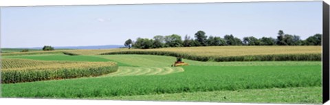 Framed Harvesting, Farm, Frederick County, Maryland, USA Print