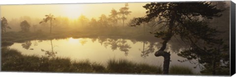 Framed Reflection of trees in a lake, Vastmanland, Sweden Print