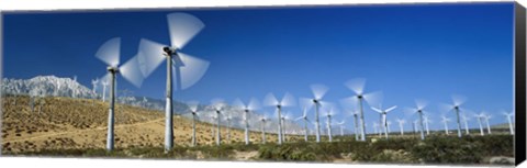 Framed Wind turbines spinning in a field, Palm Springs, California, USA Print