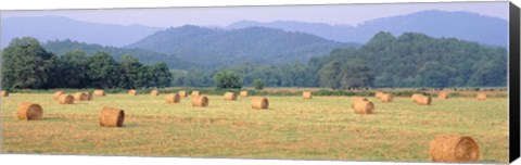 Framed Hay bales in a field, Murphy, North Carolina, USA Print