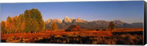 Framed Landscape in Grand Teton National Park WY Print