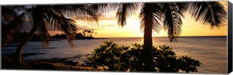 Framed Kohala Coast, Hawaii, USA Print