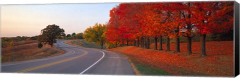 Framed Fall Road IL Print