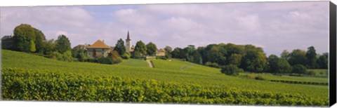 Framed WIne country with buildings in the background, Village near Geneva, Switzerland Print