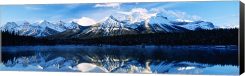 Framed Herbert Lake, Banff National Park, Alberta, Canada Print