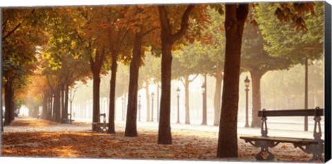 Framed France, Paris, Champs Elysees Print