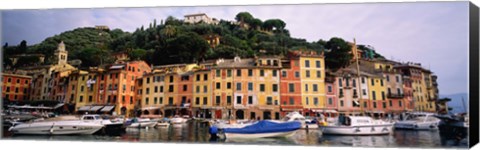 Framed Harbor Houses Portofino Italy Print