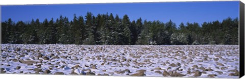 Framed Rocks in snow covered landscape, Hickory Run State Park, Pocono Mountains, Pennsylvania, USA Print