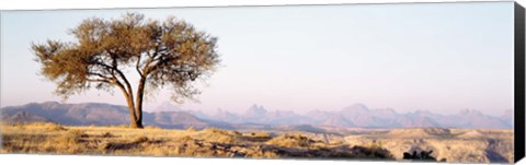 Framed Tree in a field with a mountain range in the background, Debre Damo, Tigray, Ethiopia Print