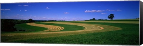 Framed Farmland IL USA Print