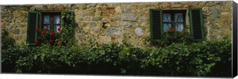 Framed Flowers on a window, Monteriggioni, Tuscany, Italy Print