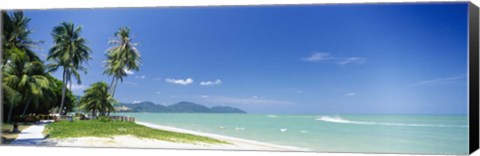 Framed Palm trees on the beach, Penang State, Malaysia Print