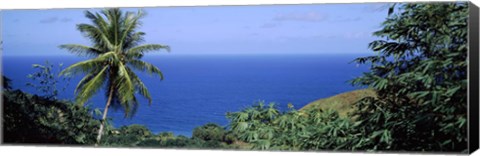 Framed Palm trees on the coast, Tobago, Trinidad And Tobago Print