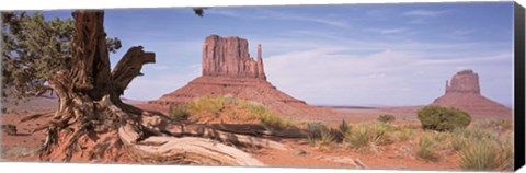 Framed Close-Up Of A Gnarled Tree With West And East Mitten, Monument Valley, Arizona, USA, Print