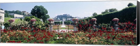 Framed Flowers in a formal garden, Mirabell Gardens, Salzburg, Salzkammergut, Austria Print