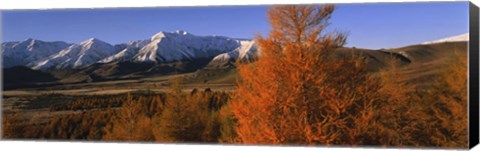 Framed Castle Hill Basin Torlesse Mountains New Zealand Print