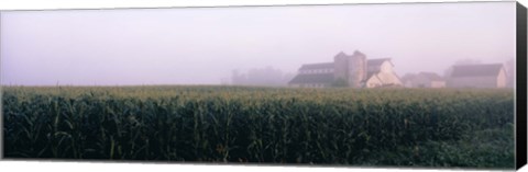 Framed Barn in a field, Illinois, USA Print