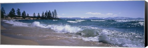 Framed Trees along a lake, Lake Tahoe, Nevada, USA Print