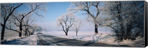 Framed Road passing through winter fields, Illinois, USA Print