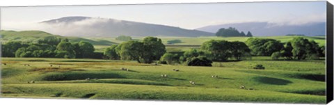 Framed Farmland Southland New Zealand Print