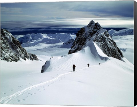 Framed Upper Fox Glacier Westland NP New Zealand Print