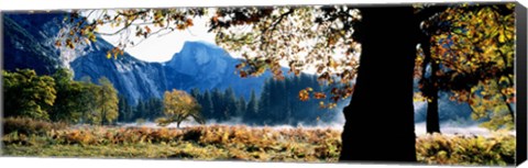 Framed Half Dome, Yosemite National Park, California, USA Print