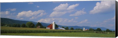 Framed Cultivated field in front of a barn, Kishacoquillas Valley, Pennsylvania, USA Print