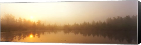 Framed Misty Morning, Volvo Bog, Illinois, USA Print