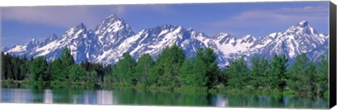 Framed Grand Tetons National Park WY Print