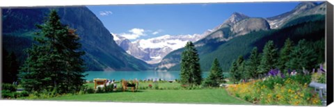 Framed Shore of Lake Louise, Banff National Park, Alberta, Canada Print