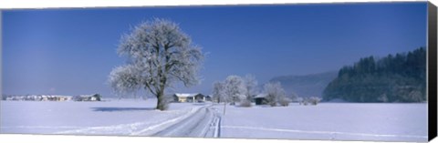 Framed Winter Scenic, Austria Print