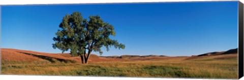 Framed Wind Cave National Park, South Dakota, USA Print