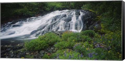 Framed Waterfall in the forest, Mt Rainier National Park, Washington State, USA Print