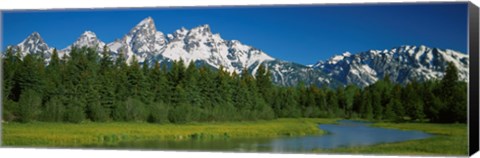 Framed Trees along a river, Near Schwabachers Landing, Grand Teton National Park, Wyoming Print