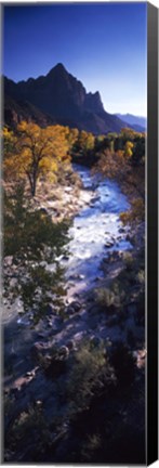 Framed High angle view of a river flowing through a forest, Virgin River, Zion National Park, Utah, USA Print