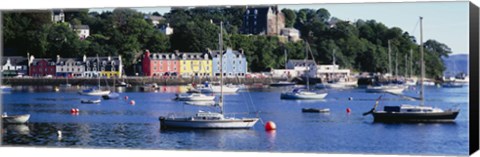 Framed Boats docked at a harbor, Tobermory, Isle of Mull, Scotland Print